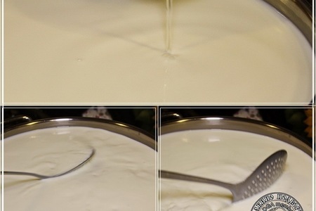 Сыр халуми и анари ... из молока англо-нубийских коз: шаг 4