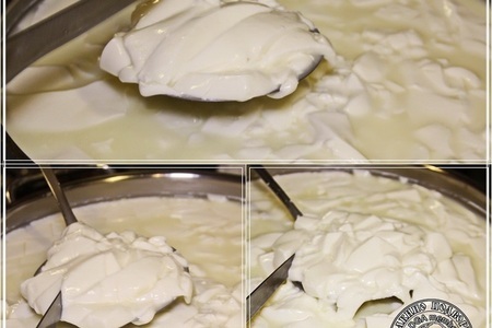 Сыр халуми и анари ... из молока англо-нубийских коз: шаг 7
