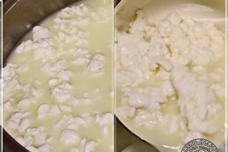 Сыр халуми и анари ... из молока англо-нубийских коз: шаг 9