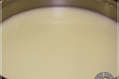 Сыр халуми и анари ... из молока англо-нубийских коз: шаг 14