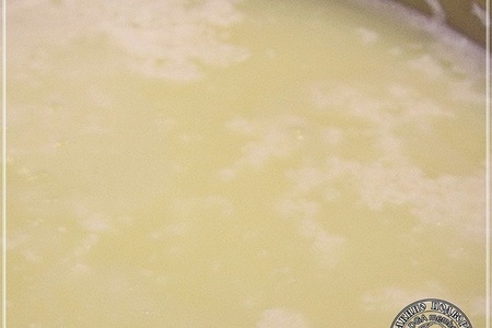 Сыр халуми и анари ... из молока англо-нубийских коз: шаг 17