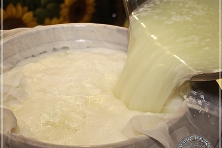 Сыр халуми и анари ... из молока англо-нубийских коз: шаг 18