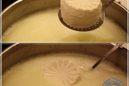 Сыр халуми и анари ... из молока англо-нубийских коз: шаг 22
