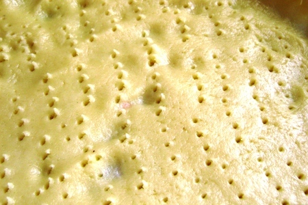 Пирог творожный с брусникой на песочной основе «забайкальский чизкейк»: шаг 3