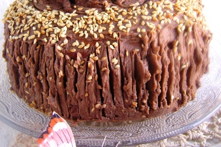 Торт кунжутный с малиновым шоколадным кремом «фрау блонди в шоколаде»: шаг 11