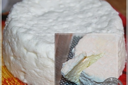 Сыр кроттен … из молока англо-нубийских коз: шаг 16