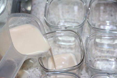 Праздничные сырные рулеты с домашним йогуртом: шаг 4