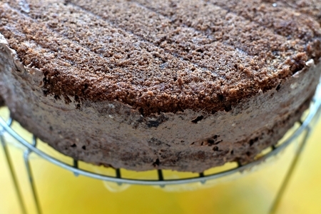 Шоколадный торт “фиалка монмартра”.: шаг 7