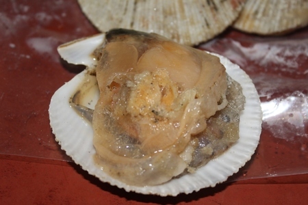 Морской гребешок с пармезаном и сливочным маслом: шаг 2