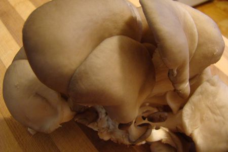 Борщ с грибами и фасолью: шаг 1