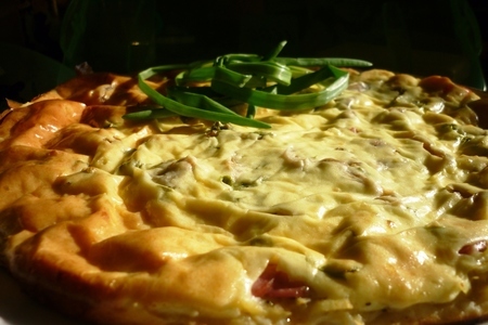 Фото к рецепту: Вкусная творожная выпечка - закрытый творожный пирог с творогом+творожная пицца