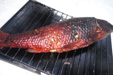 Фото к рецепту: Первое весеннее копчение рыбы