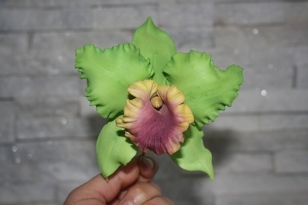 Фото к рецепту: Брассолелиокаттлея из цветочной пасты