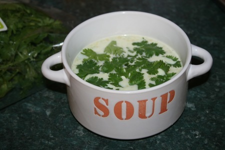 Фото к рецепту: Суп-пюре из авокадо