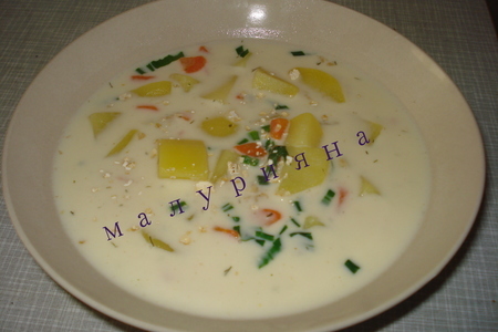 Фото к рецепту: Сырный суп с геркулесом и черемшой