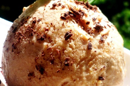 Фото к рецепту: Шоколадно-абрикосовое мороженое