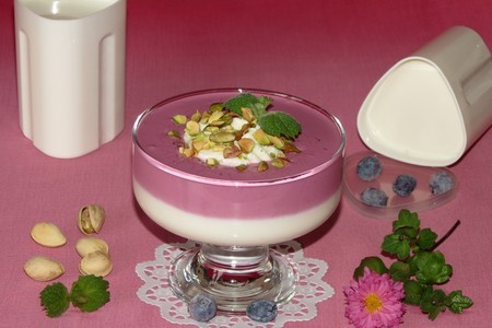 Фото к рецепту: Йогуртовый десерт с черникой и взбитыми сливками (тест - драйв)