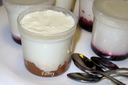 Фото к рецепту: Йогурт со сгущенным молоком и конфитюром (тест-драйв)