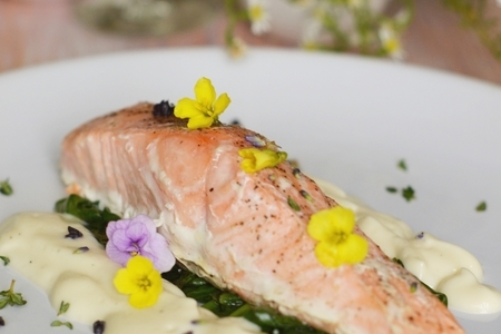 Фото к рецепту: Запеченный лосось со шпинатом и пенкой из цветной капусты.