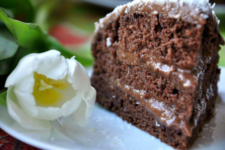Фото к рецепту: Торт "шоколадный кокос" (по случаю)
