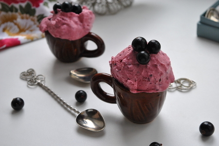 Фото к рецепту: Сырное мороженое с черной смородиной "фаворит"