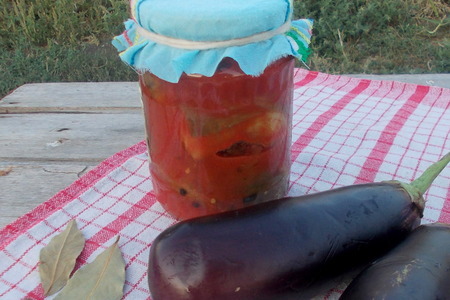 Фото к рецепту: Печеные баклажаны в томатном соке