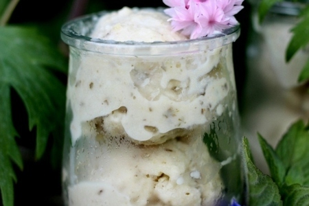 Фото к рецепту: Ревенево-яблочно-мятное мороженое