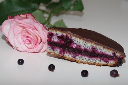 Маковый торт с черносмородиновым желе в шоколадной глазури