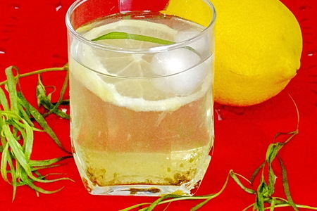 Фото к рецепту: Лимонад из тархуна с лимоном