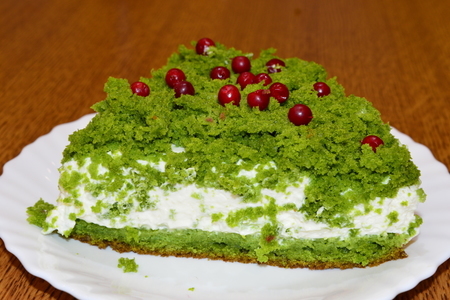 Фото к рецепту:  новогодний торт лесной мох