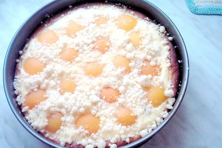 Фото к рецепту: Абрикосовый пирог с творогом и посыпкой "штрейзель".
