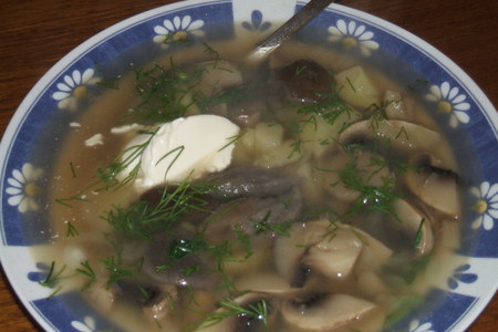 Фото к рецепту: Шампиньоновый суп