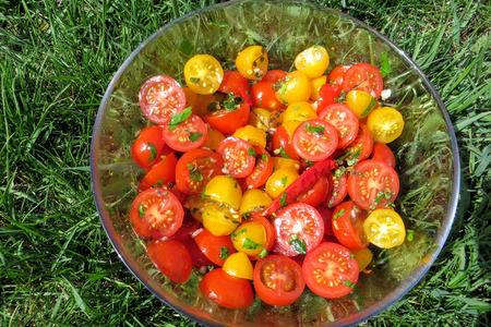 Фото к рецепту: Быстрые маринованные помидоры в итальянском стиле 