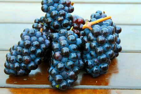 Фото к рецепту: Домашнее вино из целых ягод
