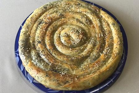 Фото к рецепту: Турецкий мясной пирог бёрек (тур.- böreğ)  из теста фило
