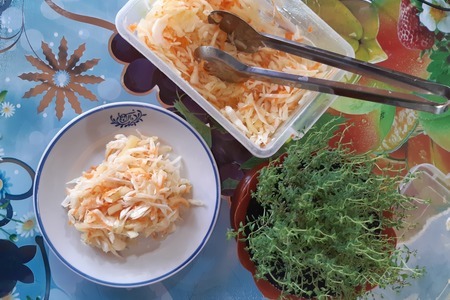Фото к рецепту: Капуста маринованная с овощами