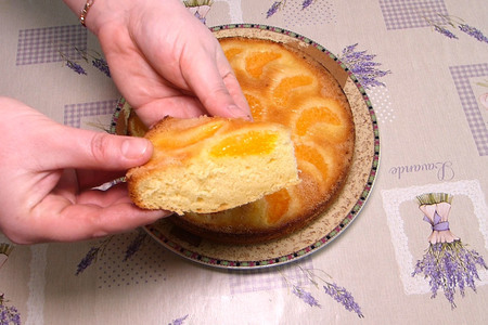 Фото к рецепту: Пирог с мандаринами