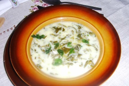 Фото к рецепту: Шпинатный суп по болгарски