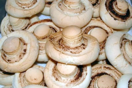 Фото к рецепту: Печенье"грибочки"