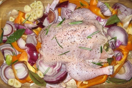 Фото к рецепту: Цыпленок с овощами