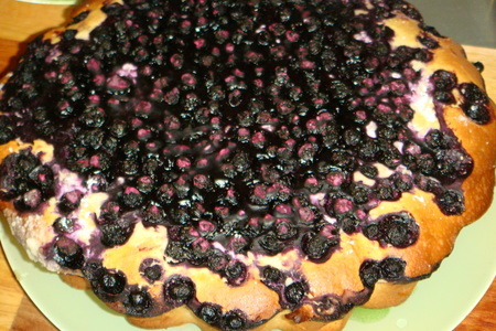 Фото к рецепту: Твороженный пирог с черникой
