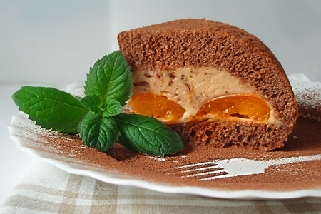 Фото к рецепту: Шоколадно-абрикосовый купол