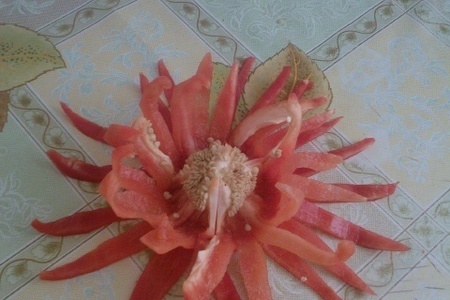 Фото к рецепту: Цветок из красного перца  .