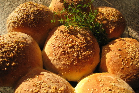 Фото к рецепту: Хлеб из кабачков