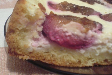 Фото к рецепту: Творожный пирог со сливами