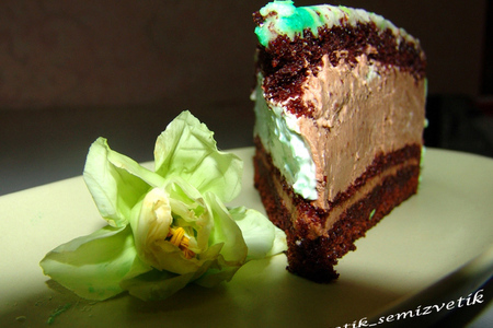 Мята + шоколад = торт