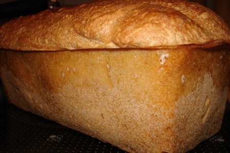 Фото к рецепту: Хлеб базельский/pain bale