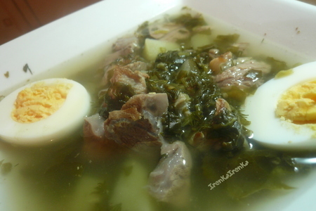 Фото к рецепту: Суп со щавелем на телячьем бульоно