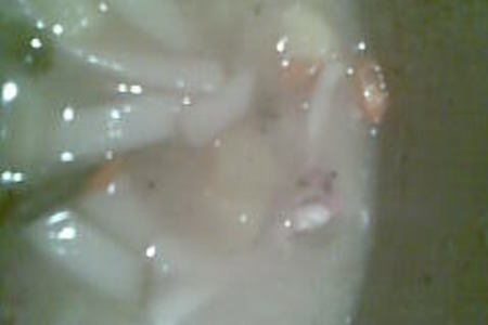 Фото к рецепту: Просто суп из лапши на косточке...