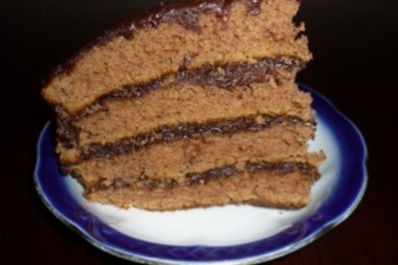 Фото к рецепту: "шоколадный тортик" на сметане